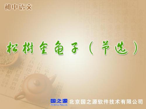 松树金龟子(节选)