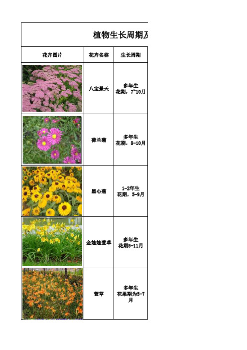 植物生长周期及特性
