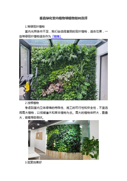 垂直绿化室内植物墙植物如何选择