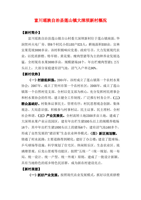 富川瑶族自治县莲山镇大深坝新村概况