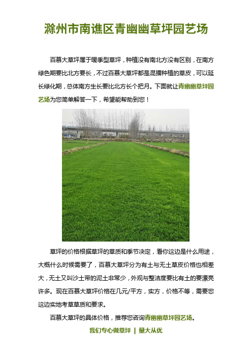 百慕大草坪一平价格