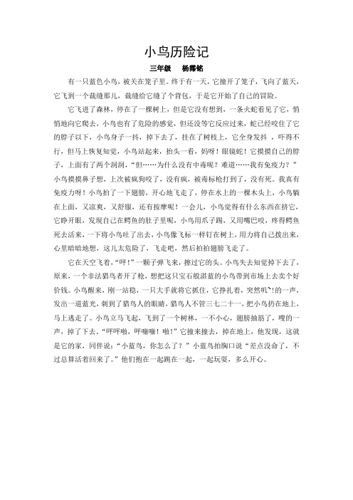 小鸟历险记