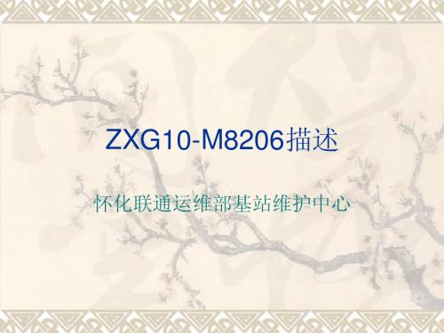 中兴 ZXG10-M8206描述