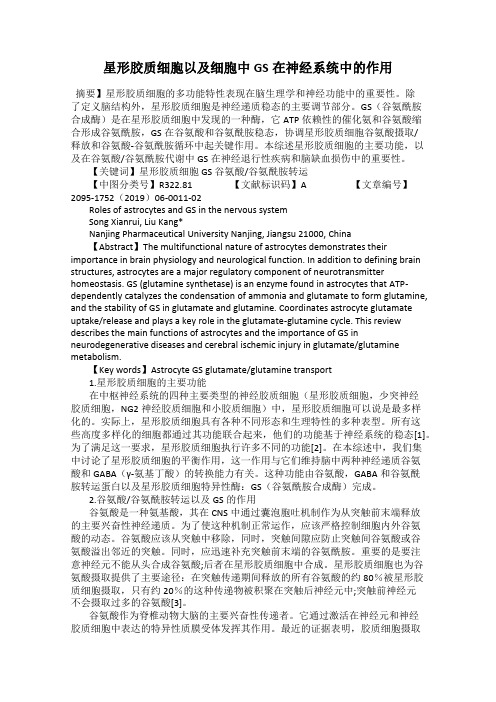星形胶质细胞以及细胞中GS在神经系统中的作用