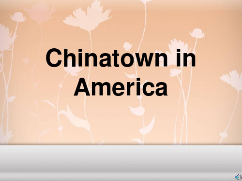2、在美国的唐人街