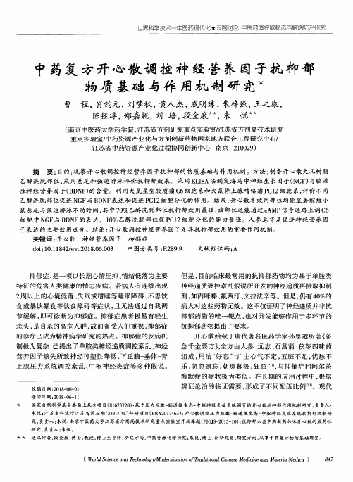 中药复方开心散调控神经营养因子抗抑郁物质基础与作用机制研究