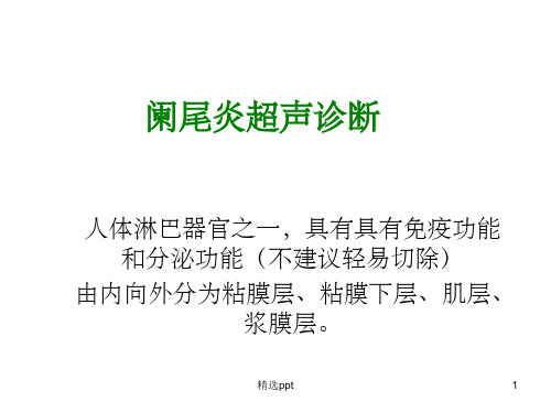 阑尾炎超声诊断55983ppt课件