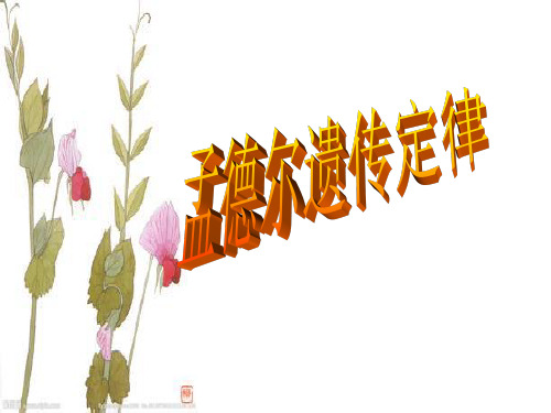 孟德尔遗传定律二轮复习.doc_(1)