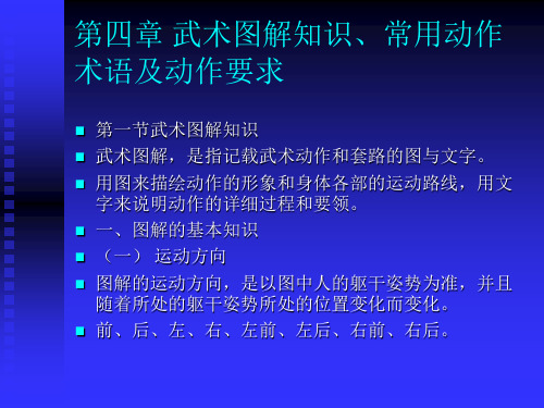 武术图解知识、常用动作
