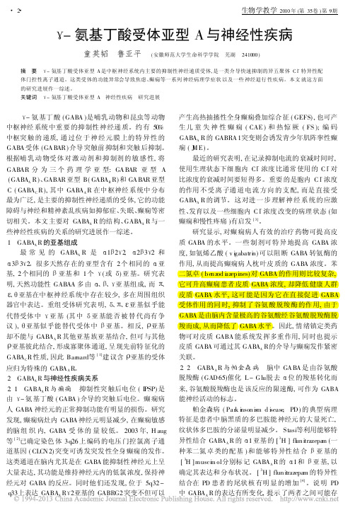 _氨基丁酸受体亚型A与神经性疾病_童英韬