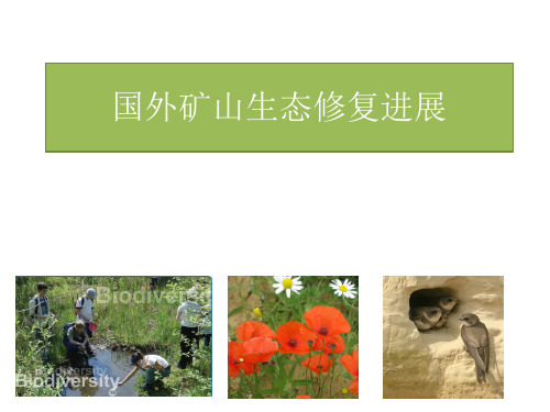 国外矿山生态修复进展