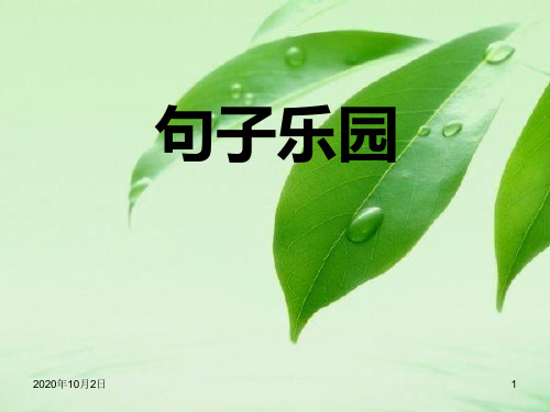 六年级语文句子专项复习PPT课件