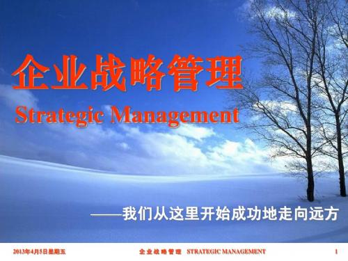 企业战略管理1