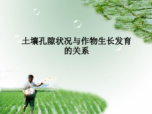 学习内容一土壤孔隙状况与作物生长发育的关系