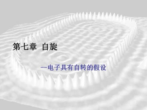 第七章 自旋汇总