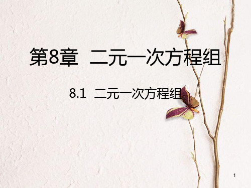 七年级数学下册 第8章 二元一次方程组 8.1 二元一次方程组课件 (新版)新人教版.pptx