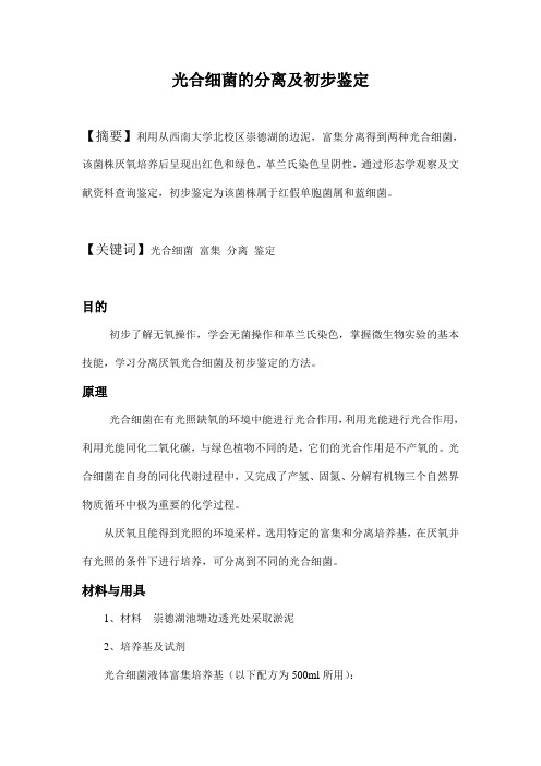 光合细菌的分离及初步鉴定