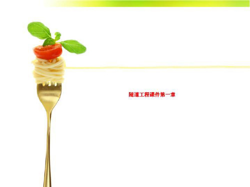 隧道工程课件第一章