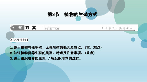 北师大版八年级上学期生物课件：19.3 植物的生殖方式(共12张PPT)
