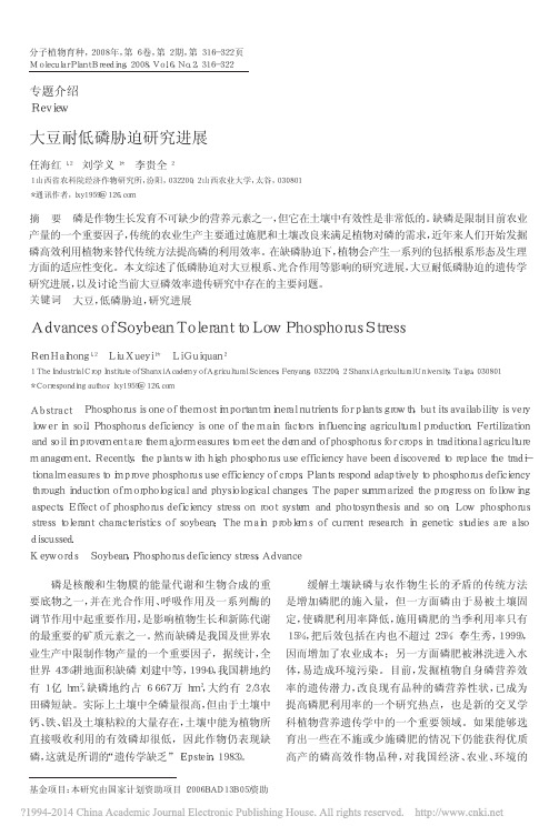 大豆耐低磷胁迫研究进展_任海红