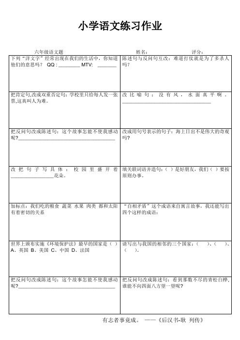 小学六年级语文素养提升练习24 (91)
