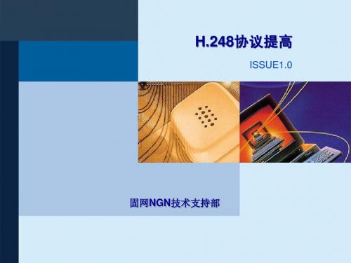 H.248协议提高培训ISSUE1.0-200504-A