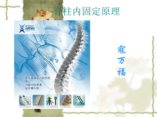 脊柱内固定原理