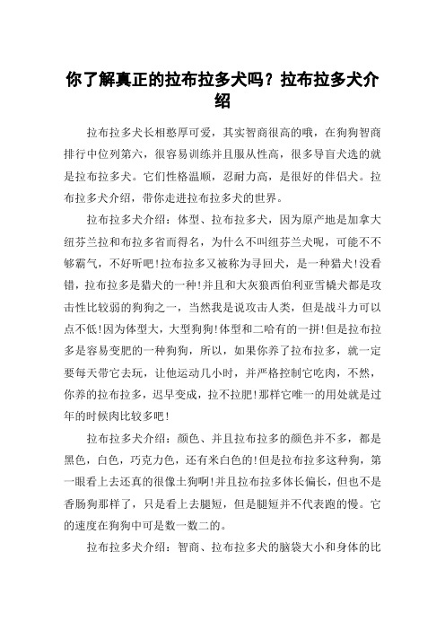 你了解真正的拉布拉多犬吗？拉布拉多犬介绍