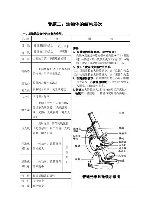 中考生物第二讲知识框架生物体的结构层次知识点