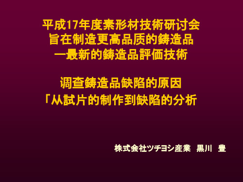 SEM铸造缺陷分析