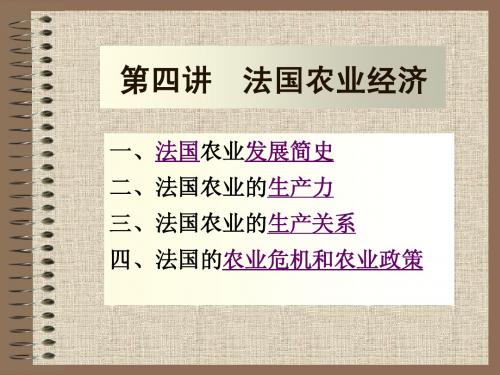 新版第四讲  法国农业经济