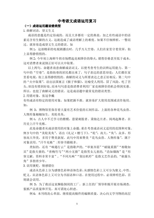 中考语文成语运用复习