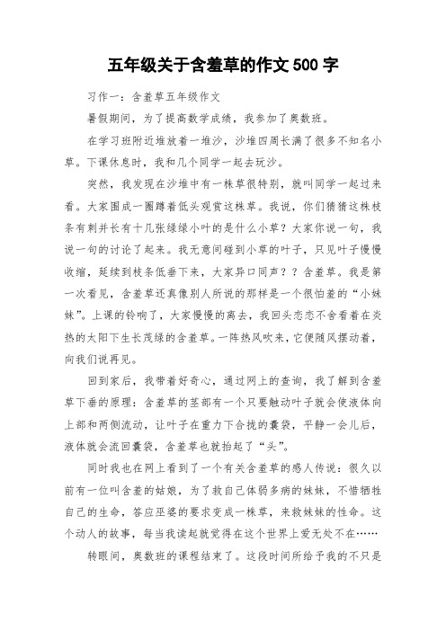 五年级关于含羞草的作文500字_作文