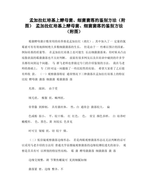 霉菌和酵母菌鉴别(2)