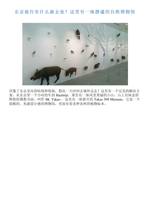 东京旅行有什么新去处？这里有一座静谧的自然博物馆