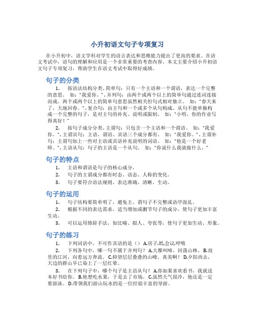 小升初语文句子专项复习