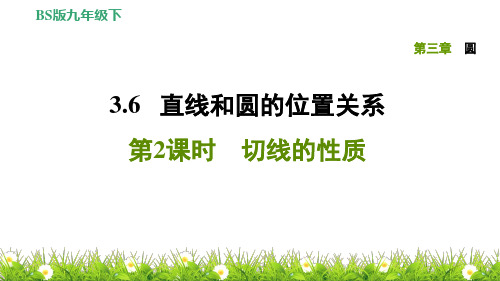 北师版数学下册3.6.2切线的性质(练习题课件)