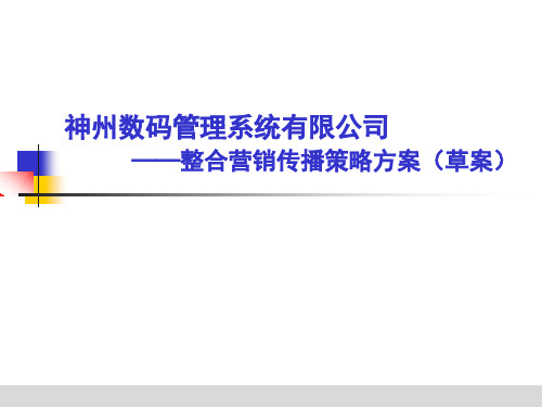 神州数码管理系统有限公司整合营销传播策略方案