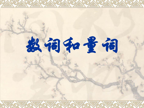数词和量词