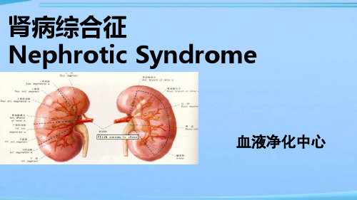 肾病综合征的护理  ppt课件