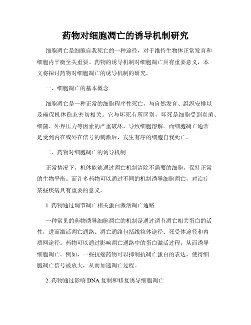 药物对细胞凋亡的诱导机制研究