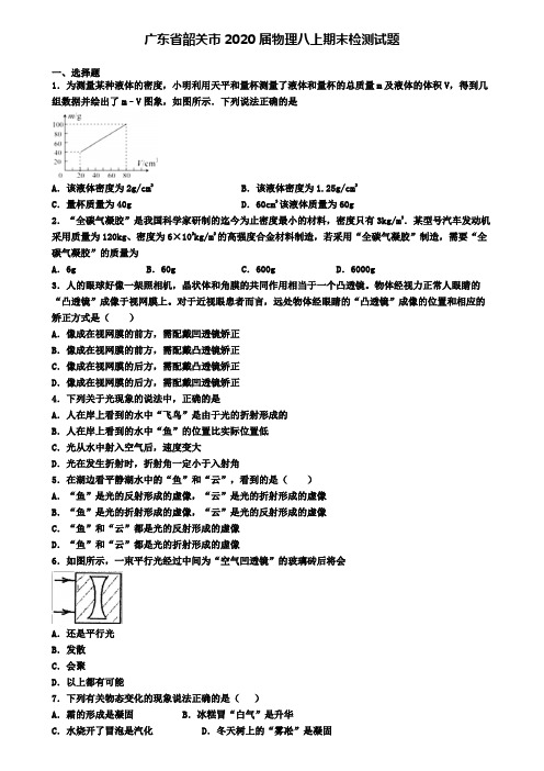 广东省韶关市2020届物理八上期末检测试题