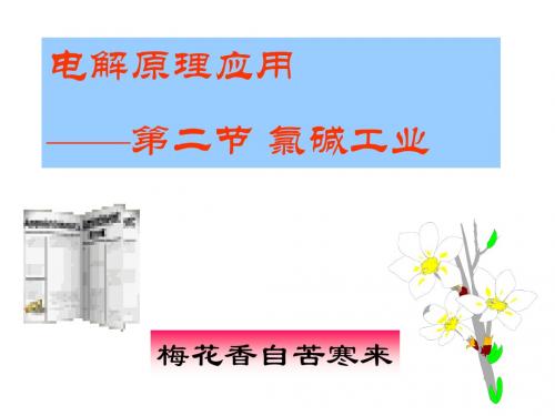 氯碱工业ppt 人教课标版