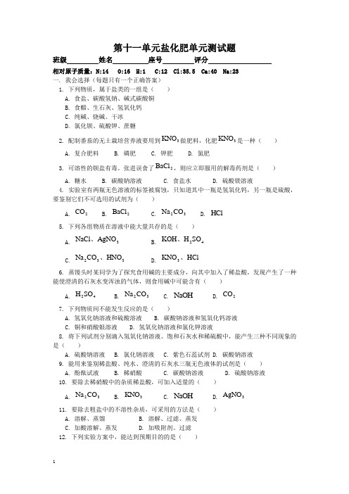 九年级化学下册《第十一单元：盐、化肥》单元检测试卷及答案