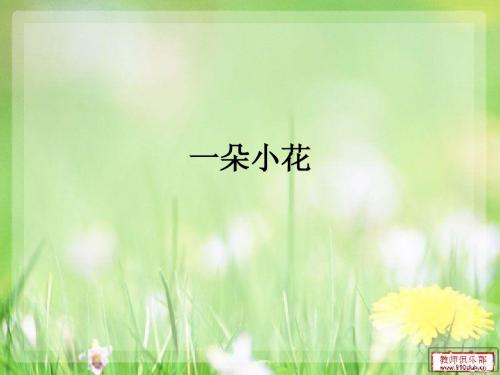 一朵小花