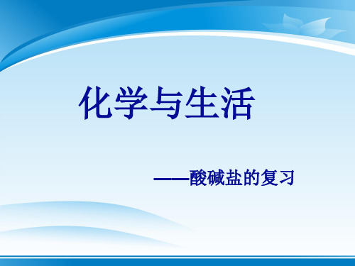 ~学年人教版化学九年级全册   酸碱盐的复习  课件
