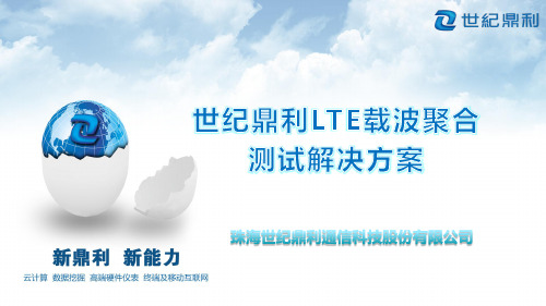 世纪鼎利LTE载波聚合技术培训