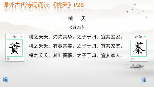 课外阅读古代诗词诵读《桃夭》课件+2024-2025学年统编版高中语文必修上册