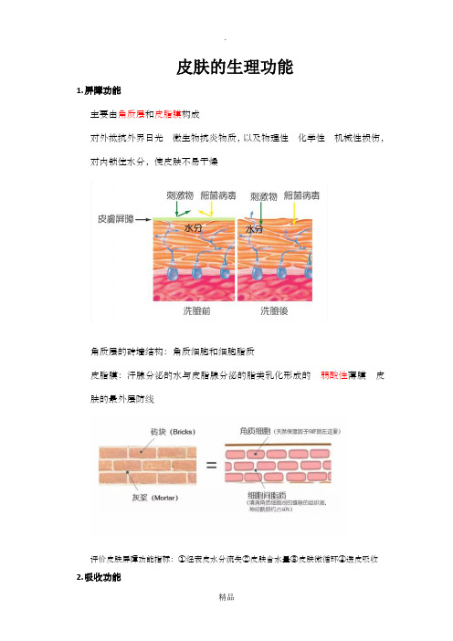 皮肤的生理功能