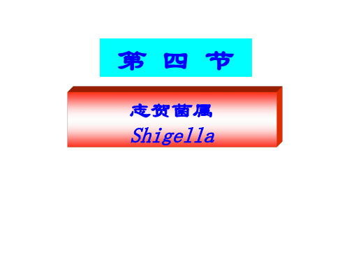 志贺菌属